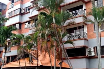 Evergreen Park Acorn and Hazel