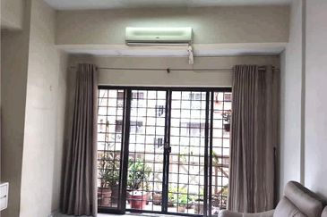 Evergreen Park Acorn and Hazel