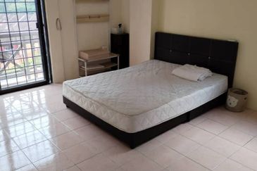 Evergreen Park Acorn and Hazel