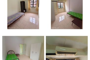 Evergreen Park Acorn and Hazel