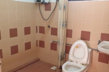 Evergreen Park Acorn and Hazel