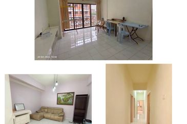 Evergreen Park Acorn and Hazel