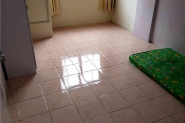 Evergreen Park Acorn and Hazel