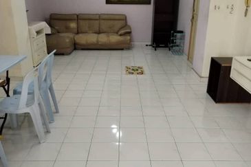 Evergreen Park Acorn and Hazel