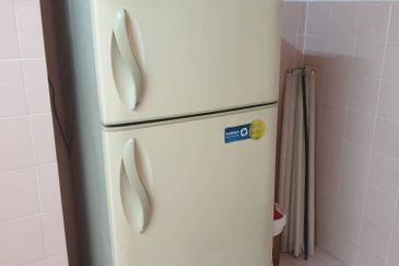 Evergreen Park Acorn and Hazel