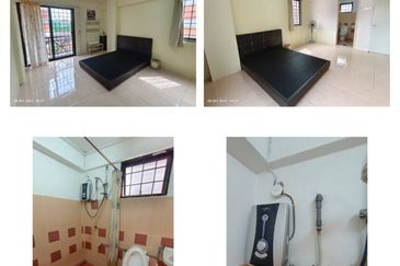 Evergreen Park Acorn and Hazel