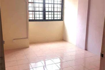 Evergreen Park Acorn and Hazel