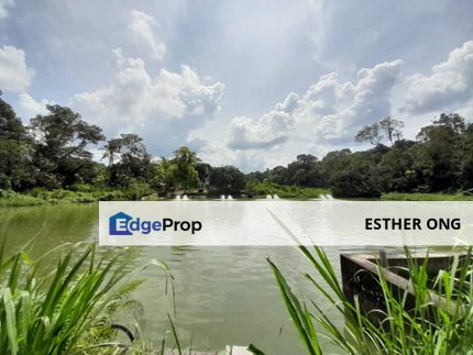 Nature Environment Hulu Langat Fish Ponds for Sale Hulu langat Fish Ponds for Sale Agriculture Land Nature Environment, Selangor, Hulu Langat