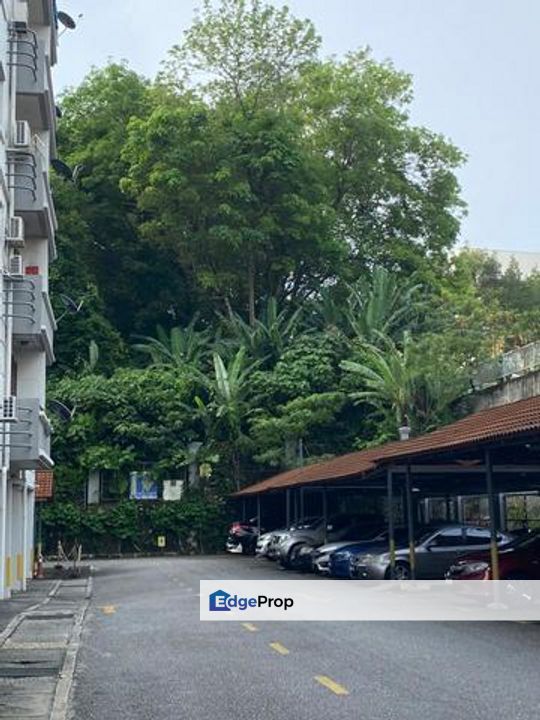 Pangsapuri Seri Pinang Seri Kembangan For Sale  Fully Furnished Freehold, Selangor, Seri Kembangan