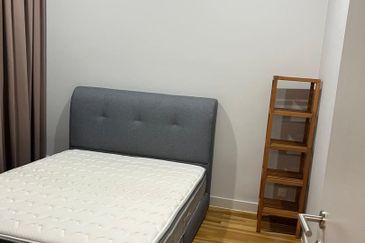 Dianthus @ Tropicana Gardens