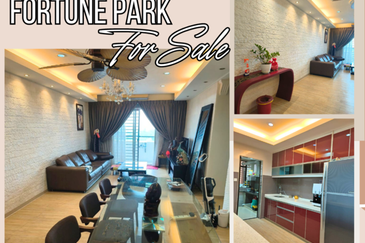 Fortune Park