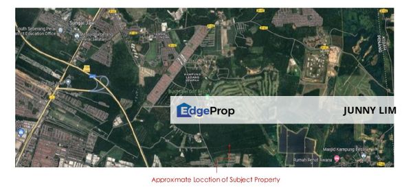 Prime 196-Acre Oil Palm Plantation for Sale, Penang, Batu Kawan