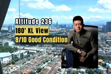 Altitude 236