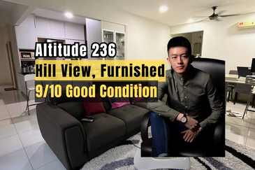 Altitude 236
