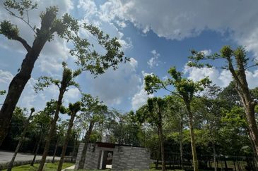 Taman Setia Eco Cascadia
