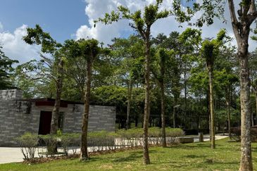 Taman Setia Eco Cascadia