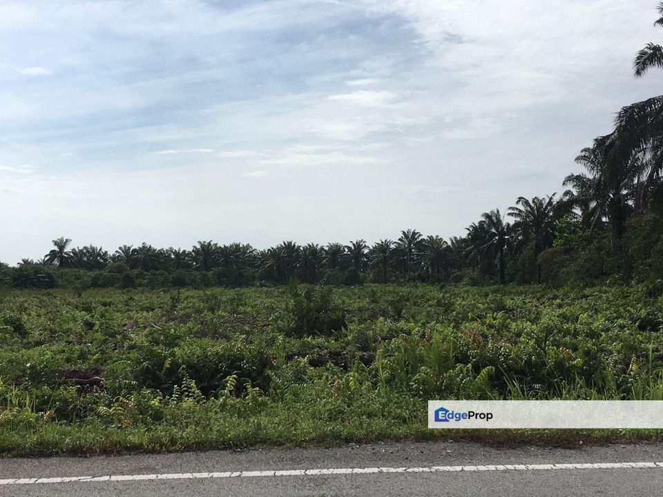 CYBERJAYA ENTERPRISE LAND, Selangor, Cyberjaya