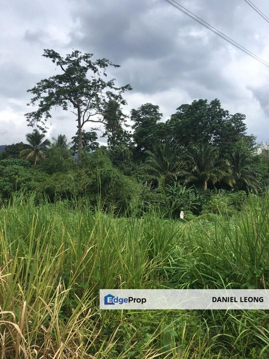 Salak Tinggi Sepang Agriculture Land , Selangor, Sepang
