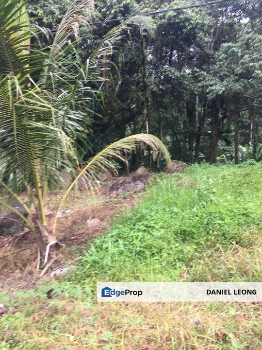 Salak Tinggi Sepang Agriculture Land , Selangor, Sepang