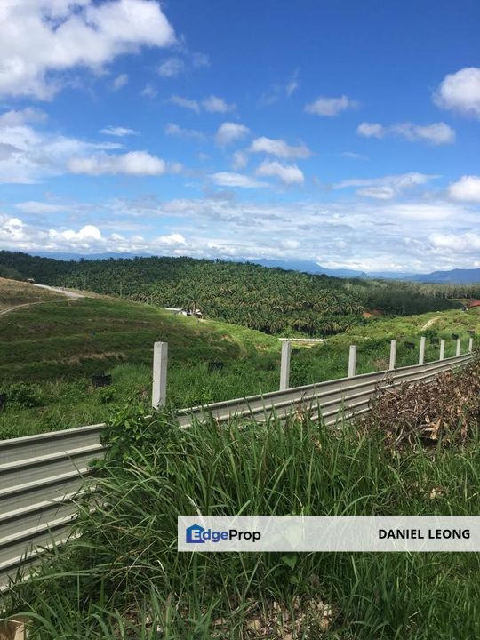 Salak Tinggi Sepang Agriculture Land , Selangor, Sepang