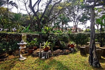 Jalan Anggerik Oncidium 31/74B