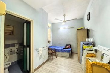 Anggerik Doritis @ Kota Kemuning