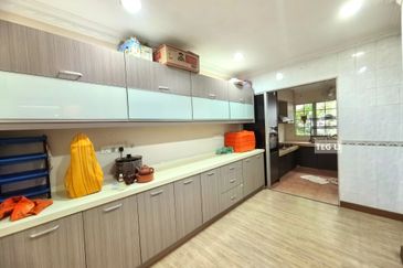 Anggerik Doritis @ Kota Kemuning