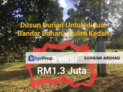 Murah!!! Tanah Kebun Durian Untuk diJual di Bandar Baharu, Serdang Kedah , Kedah, Serdang