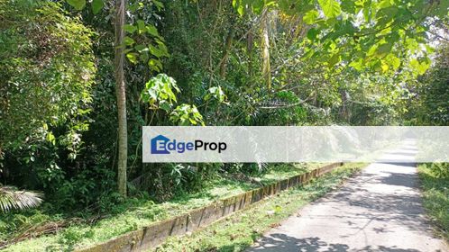 Tanah 1 ekar untuk dijual di Kampung Sepulau, Simpang Ampat, Seberang Perai, Penang, Penang, Simpang Ampat