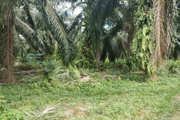 Pekan Tanjung Karang