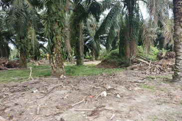 Pekan Tanjung Karang