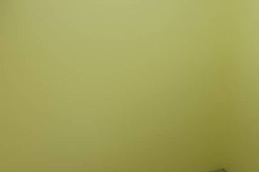 Teluk Panglima Garang