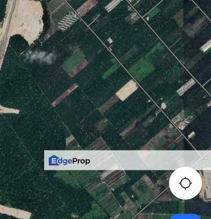 Bukit Perah Banting Agriculture land for rent , Selangor, Banting