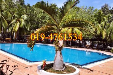 Ferringhi Delima Condominium