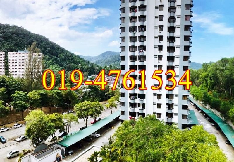 Ferringhi Delima Condominium