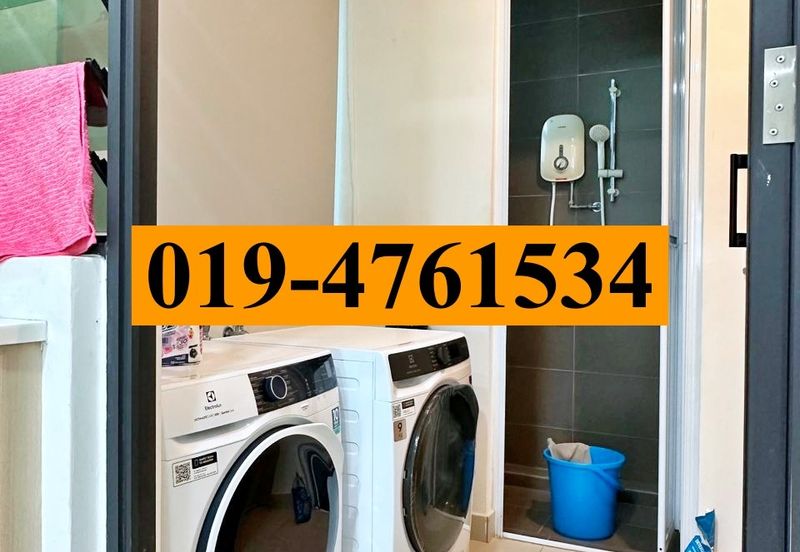 The Light Collection III