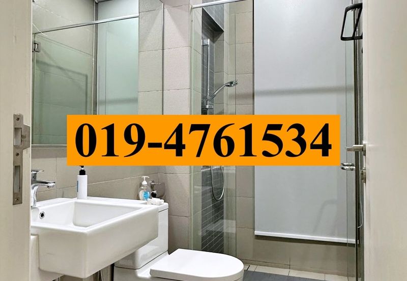 The Light Collection III