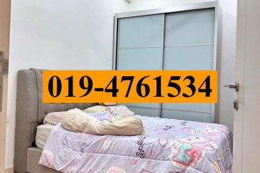 The Light Collection III