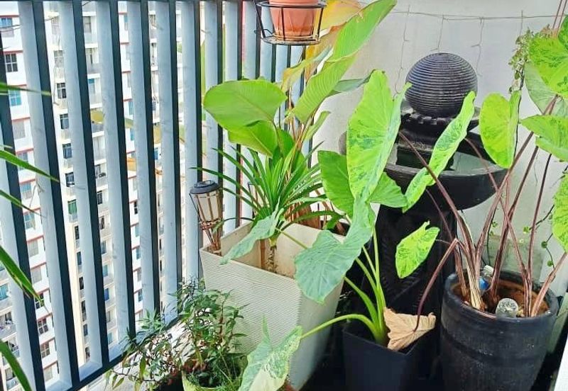 PR1MA Lakefront Homes