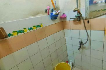 Sri Meranti, Bandar Sri Damansara