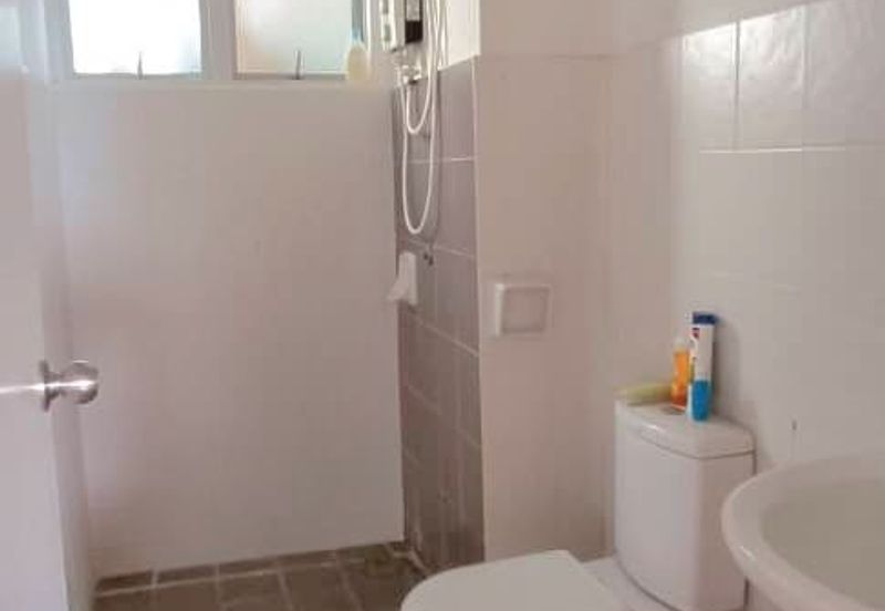 Penaga @ Taman Raintree