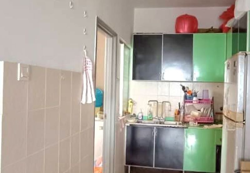 Penaga @ Taman Raintree