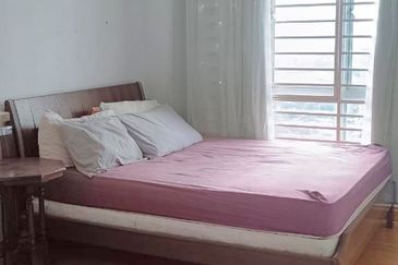 Penaga @ Taman Raintree