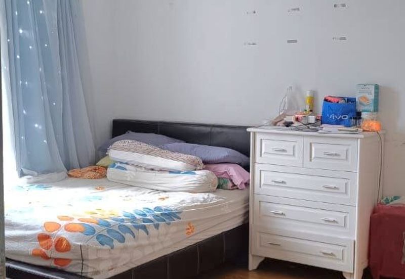 Penaga @ Taman Raintree