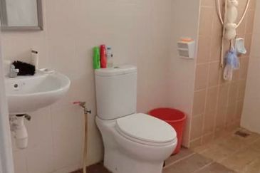 Penaga @ Taman Raintree