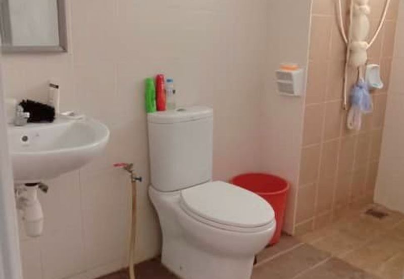 Penaga @ Taman Raintree