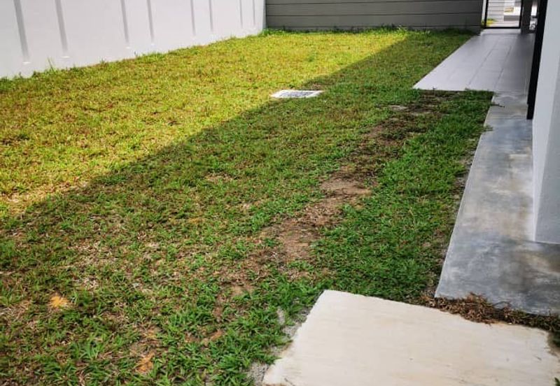 Dalia Residences @ Tropicana Aman