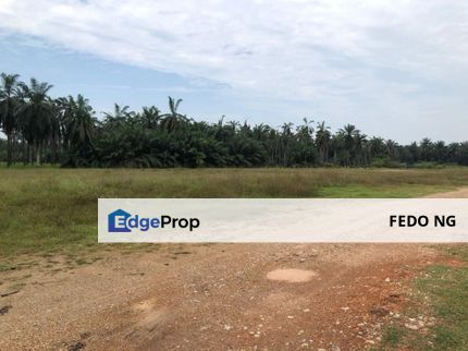 Ijok, Agriculture Land, Bestari Jaya, Selangor, Kuala Selangor