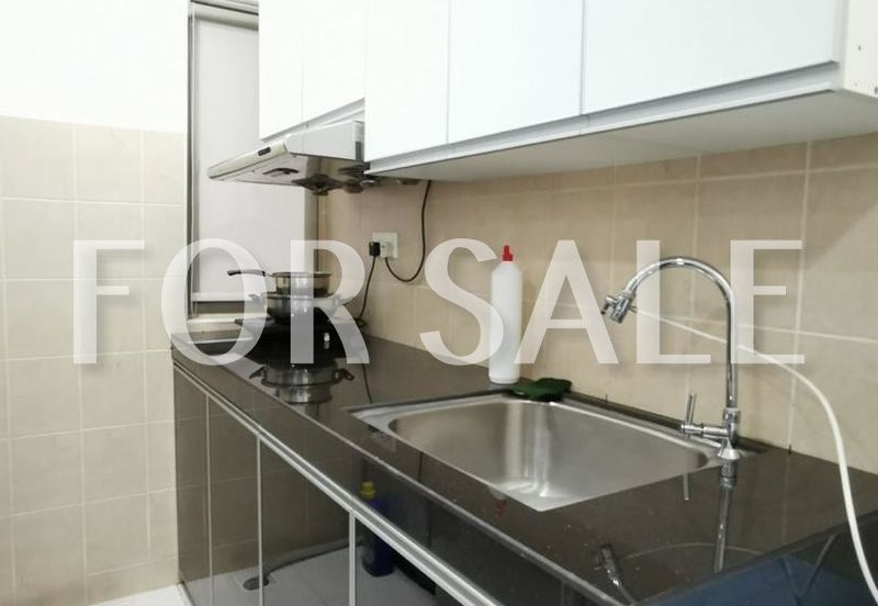 Tropicana City Tropics