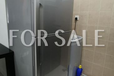 Tropicana City Tropics